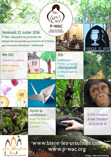 Affiche pour événement de l’association « P-WAC » qui œuvre pour la protection des grands singes en République Démocratique du Congo