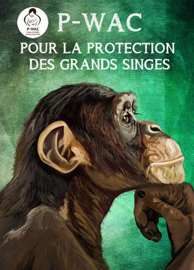 Poster pour l’association « P-WAC »