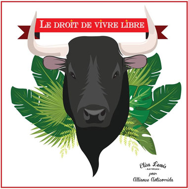 Illustration vectorielle (Illustrator) pour l’association « Alliance Anticorrida »